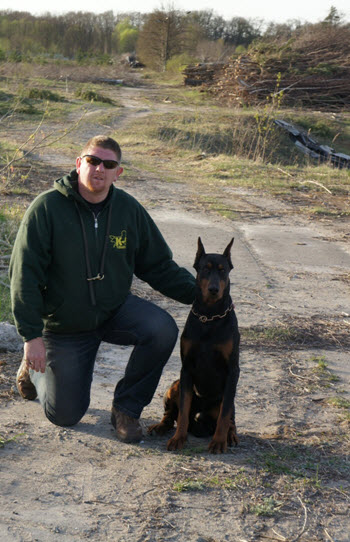Doberman
